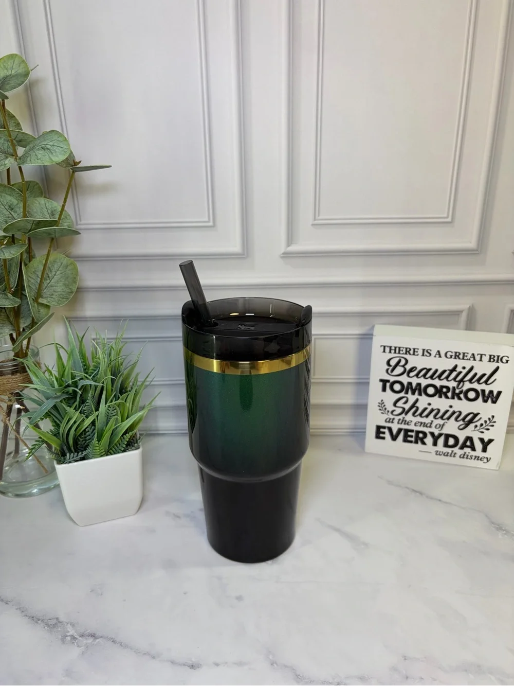Stanley Wicked Elphaba 20oz EUC